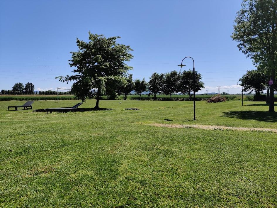 Agriturismo La Sophora Montegaldella ภายนอก รูปภาพ